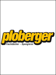 Ing.  Alfred Michalek