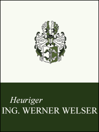 Ing. Werner Welser
