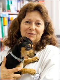 Dr. Susanne Veletzky