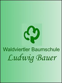 Ludwig Bauer