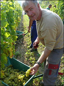 Dipl.-Ing. Jörn Eberherr