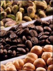 DI Mag. Gerhard Raith